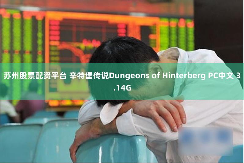 苏州股票配资平台 辛特堡传说Dungeons of Hinterberg PC中文 3.14G