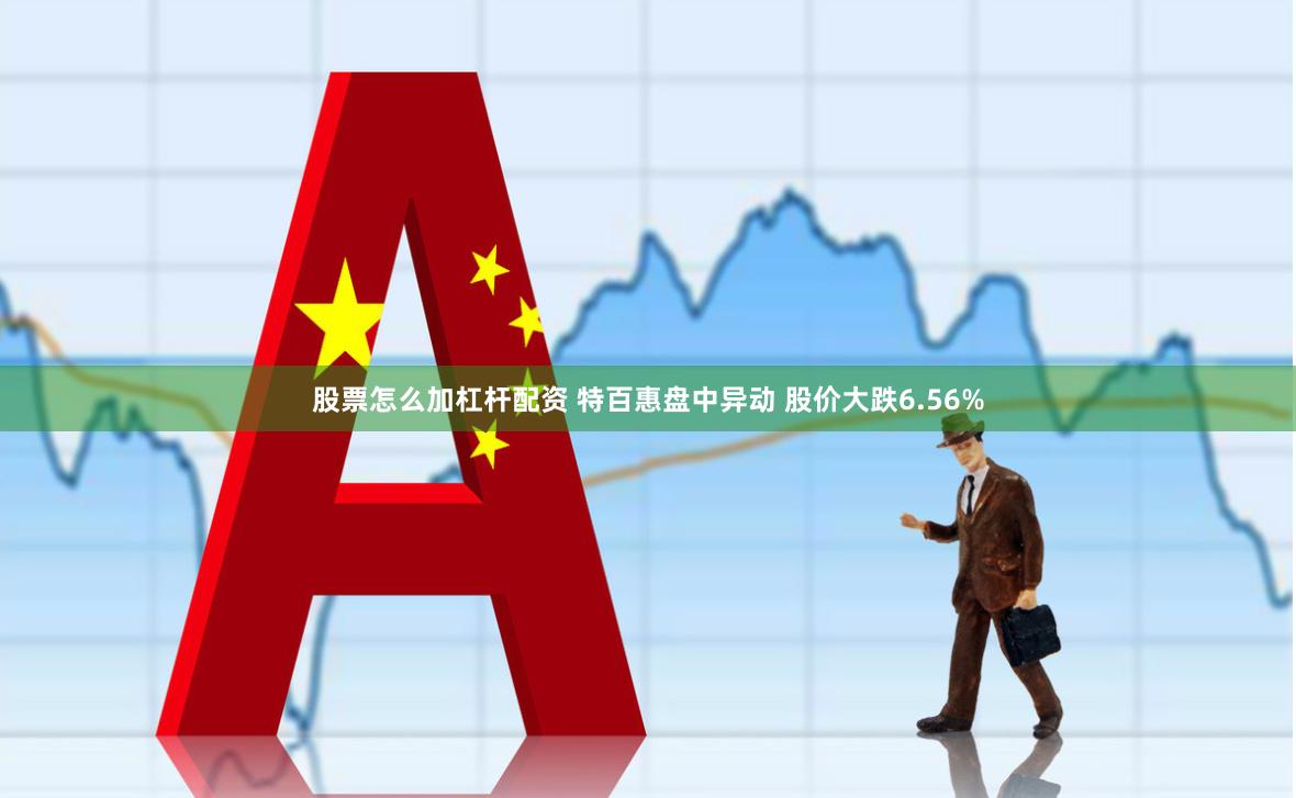 股票怎么加杠杆配资 特百惠盘中异动 股价大跌6.56%